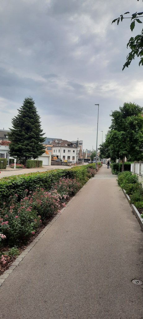 (C) Daniel Schück, Wil